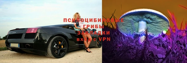 мескалин Арсеньев
