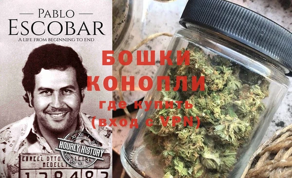 шишки Армянск