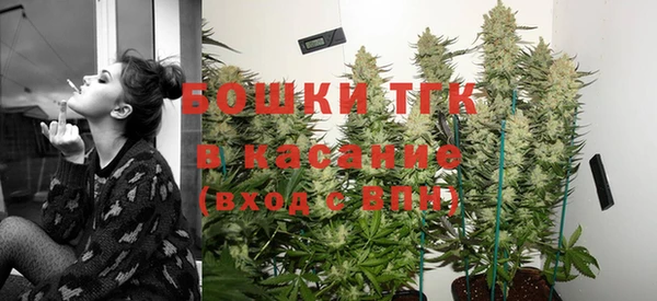 шишки Армянск