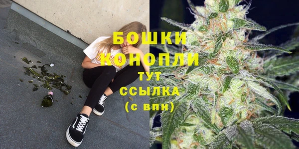 шишки Армянск