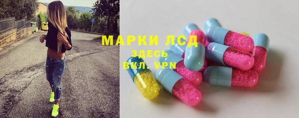 шишки Армянск