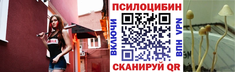 где найти   Пролетарск  Галлюциногенные грибы Psilocybine cubensis 